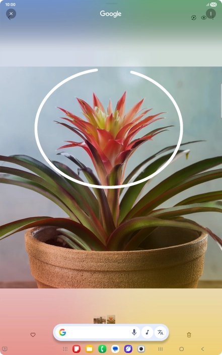 Draw a circle around the required object on the picture and wait for the search results.