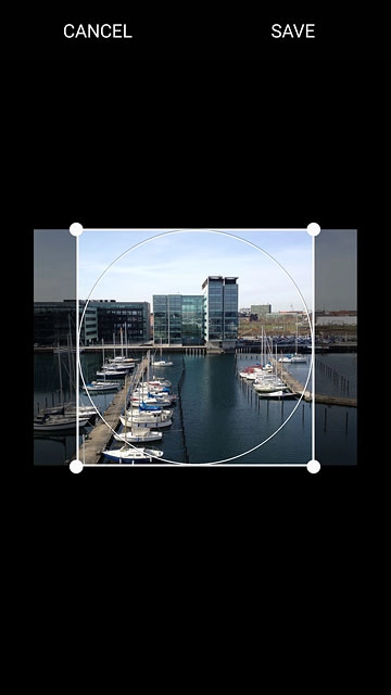 Drag the frame to the required position to select the required detail.