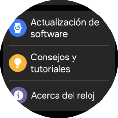 Pulsa Actualización de software.