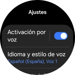 Pulsa Idioma y estilo de voz.