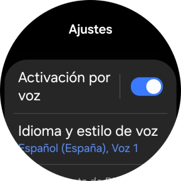 Pulsa Idioma y estilo de voz.