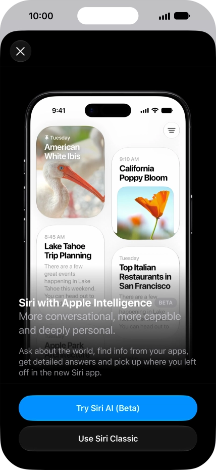 Press Try Siri AI and follow the instructions on the screen to turn on the function.
