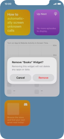 Press Remove. Press Remove.