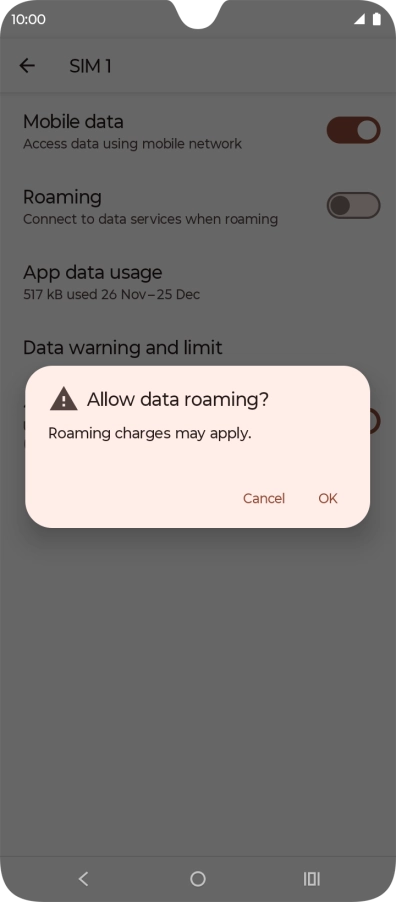 If you turn on data roaming, press OK.