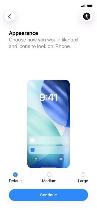 Select the required text and icon size on your phone and press Continue.