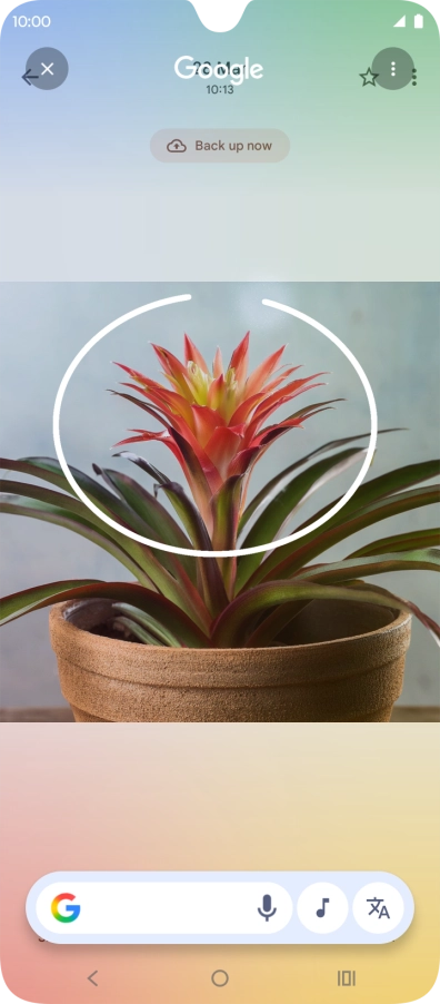 Draw a circle around the required object on the picture and wait for the search results.