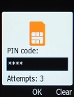 Key in your current PIN and press the OK key.