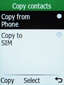 Select Copy from.