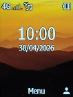 The network mode icon shows the network mode currently used by your phone.