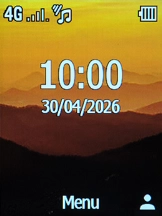 The network mode icon shows the network mode currently used by your phone.