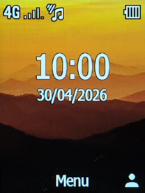 The network mode icon shows the network mode currently used by your phone.