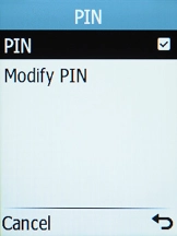 Select PIN.