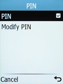 Select PIN.