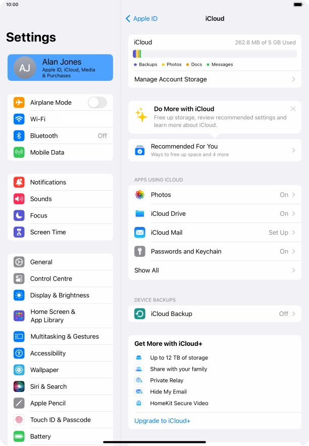 Press iCloud Backup.