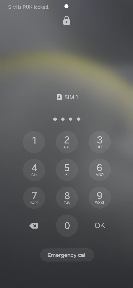 Key in a new four-digit PIN and press OK.