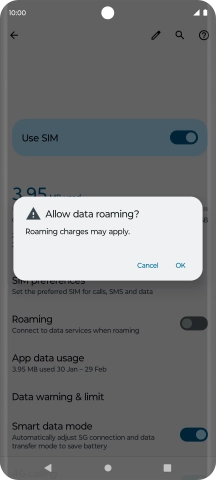 If you turn on data roaming, press OK.