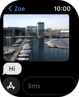 Press SMS.
