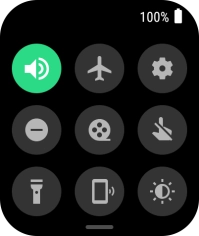 Press the suppression of calls and notifications icon to turn the function on or off.