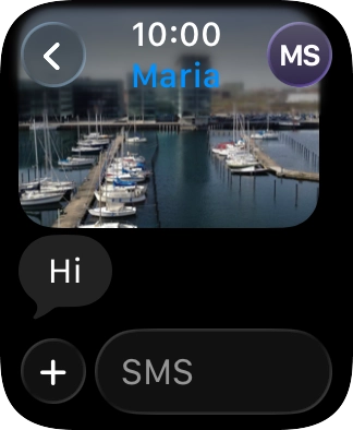 Press SMS. Press SMS.
