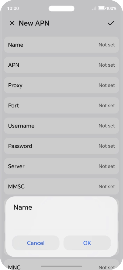 Key in Vodafone Internet and press OK.