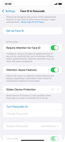 Press Turn Passcode On and key in a phone lock code of your own choice twice.