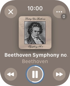 Turn the Digital Crown to select the required volume. Turn the Digital Crown to select the required volume.