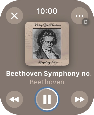 Turn the Digital Crown to select the required volume. Turn the Digital Crown to select the required volume.