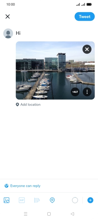 Write the required text and press Tweet.
