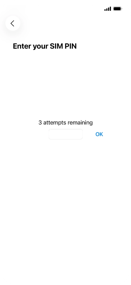 If your SIM is locked, key in your PIN and press OK.