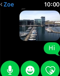 Press the microphone icon and follow the instructions on the screen to record and send the message.