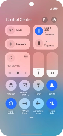 Press the Bluetooth icon to turn the function on or off.