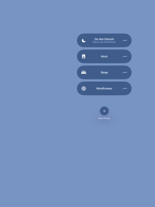 Press the required focus mode to activate or deactivate it immediately.