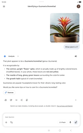 Follow the instructions on the screen to type or speak the required question. You can also attach pictures or documents and ask questions to them.