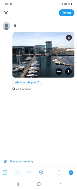 Write the required text and press Tweet.