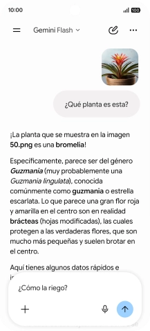 Sigue las indicaciones de la pantalla para escribir o decir en alto más preguntas y continuar la conversación.