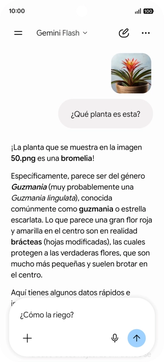 Sigue las indicaciones de la pantalla para escribir o decir en alto más preguntas y continuar la conversación.