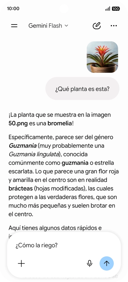 Sigue las indicaciones de la pantalla para escribir o decir en alto más preguntas y continuar la conversación.