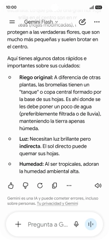 Sigue las indicaciones de la pantalla para escribir o decir en alto la pregunta deseada. Puedes adjuntar fotografías o documentos y hacer preguntas acerca de ellos.