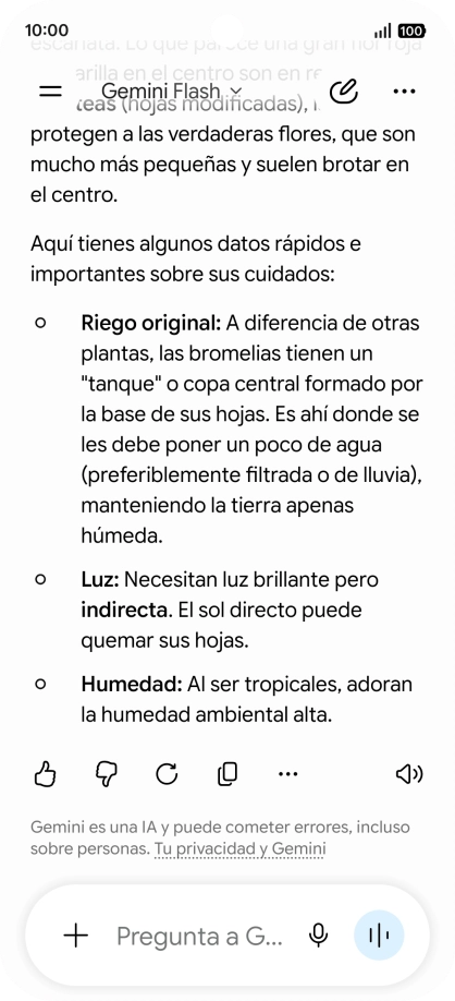 Sigue las indicaciones de la pantalla para escribir o decir en alto la pregunta deseada. Puedes adjuntar fotografías o documentos y hacer preguntas acerca de ellos.