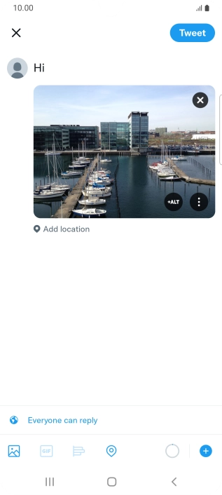 Write the required text and press Tweet.