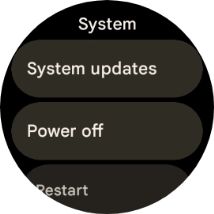 Press System updates. If a new software version is available, it's displayed. Follow the instructions on the screen to update the smartwatch software.