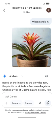 Follow the instructions on the screen to type or speak the required question. You can also attach pictures or documents and ask questions to them.