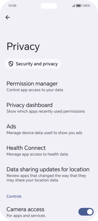 Press Privacy dashboard.