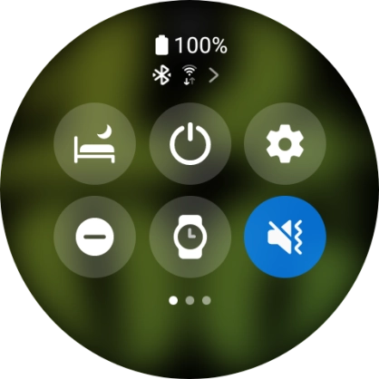 Press the suppression of calls and notifications icon to turn the function on or off. Press the suppression of calls and notifications icon to turn the function on or off.