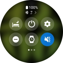 Press the suppression of calls and notifications icon to turn the function on or off. Press the suppression of calls and notifications icon to turn the function on or off.