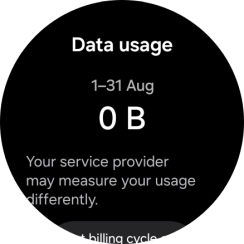 The total data usage is displayed. The total data usage is displayed.