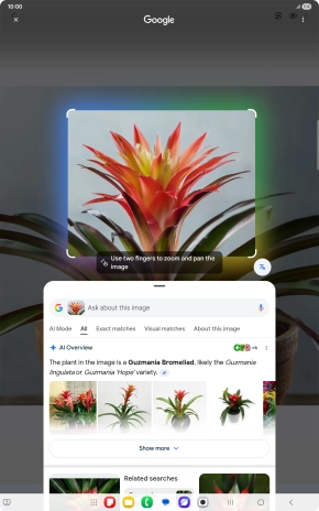 Follow the instructions on the screen to use the search results. Follow the instructions on the screen to use the search results.