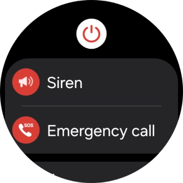 Press Siren and follow the instructions on the screen to start and stop the siren.