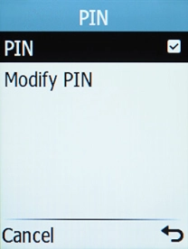Select Modify PIN.
