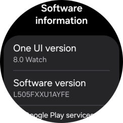 The software version of your smartwatch is displayed below Software information. The software version of your smartwatch is displayed below Software information.